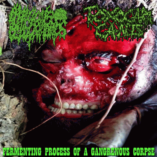 Toxocara Canis : Fermenting Process of a Gangrenous Corpse